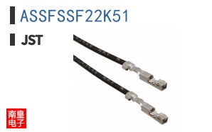 ASSFSSF22K51