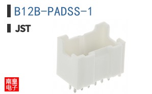 B12B-PADSS-1