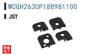 WCGH2630P188981100